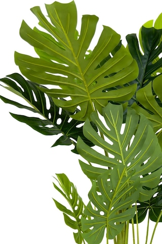 Biçiçek Yapay Monstera Ağacı Deve Tabani 170 Cm Si̇yah Gümüş Darbuka Saksıda