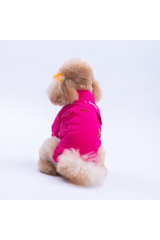 Fuşya Cancun - Cancún Ceket Gabardin Çıtçıtlı Kedi Köpek Ceketi Kedi Köpek Kıyafeti Kedi Köpek Elbisesi