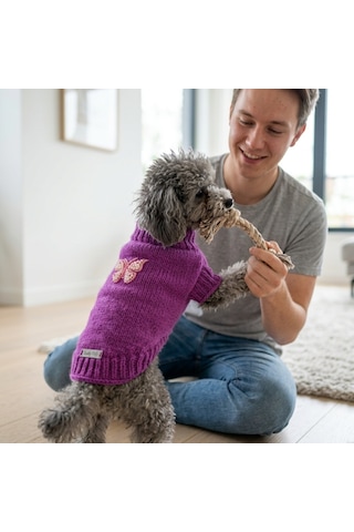 Lady Fify Kedi Ve Köpek İçin Kelebekli Mor Kazak