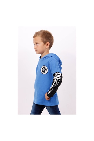 Toontoy Kids Toontoy Erkek Çocuk Kapşonlu Kolları Baskılı Sweatshirt Saks