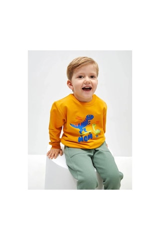 LC Waikiki Bisiklet Yaka Uzun Kollu Baskılı Erkek Bebek Sweatshirt Sarı