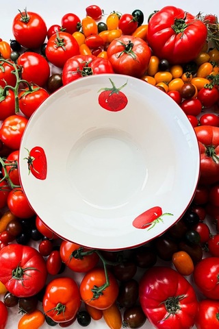 Rakle X Bengi Kurtcebe Pomodoro Stoneware Salata Kasesi 25 Cm Diğer