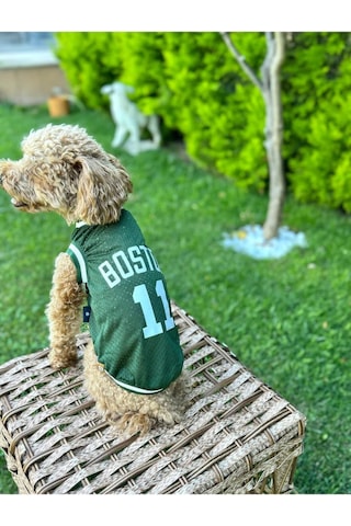 Salya Store Köpek Kıyafeti Boston Köpek Forma Kedi Köpek Elbisesi