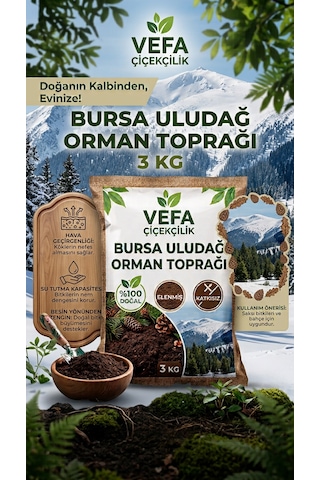 Bursa Uludağ Katkısız Orman Toprağı 3 Kg - Doğal & Elenmiş İç Ve Dış Mekan Bitki Toprağı