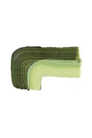 Schmincke : Akademie Yağlı Boya : 60 Ml : 506 Sap Green