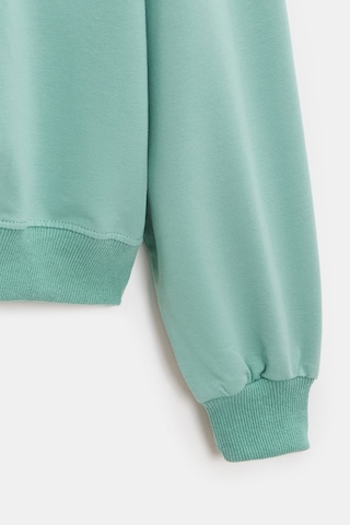 Sââde Kadın Oversize Bisiklet Yaka Basic Casual Sweatshirt Mint