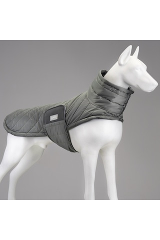 Air Puff Special Green Köpek Montu