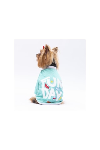 Pawstar Mint Fun Day Kedi Köpek Sweati Kıyafeti