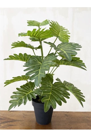 Yapay Ağaç Salon Bitkisi Syngonium 70 Cm 18 Yaprak Antrasit Saksı