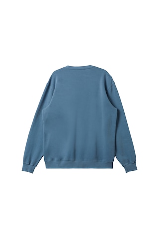 Quıksılver Quiksilver Salt Water Crew Erkek Mavi Sweatshirt W12 Çok Renkli