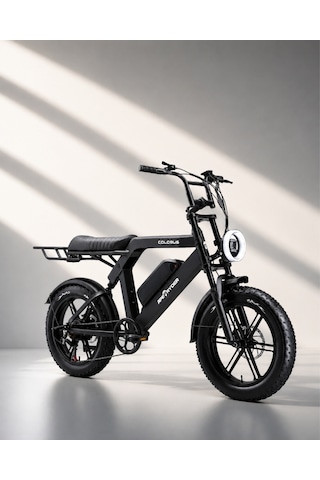 Ape Ryder Colobus Elektrikli Bisiklet 750w - Siyah