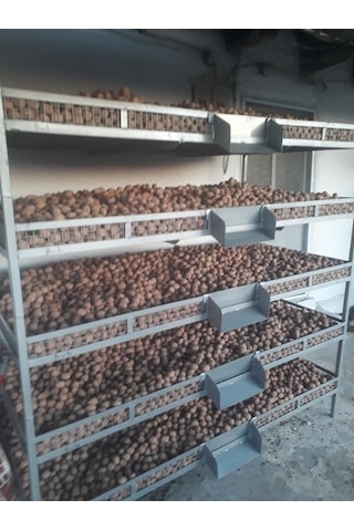 Ceviz Ve Meyve Kurutma Rafları 1 Adet Ölç.95X220X12Cm120Kg