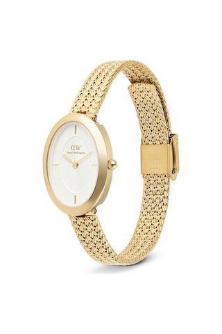 Daniel Wellington Dw00600882 Kadın Kol Saati Diğer