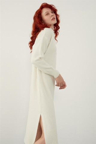 Sherin Ekru Polo Yaka Basic Midi Triko Elbise-ekru