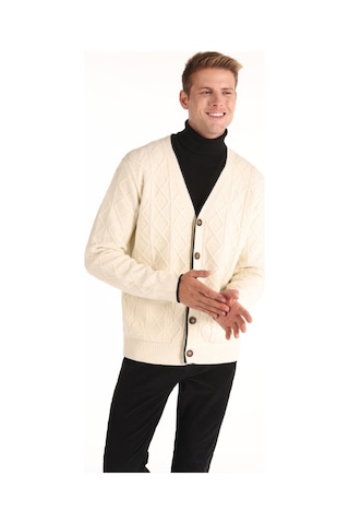 Colins Regular Fit V Yaka Triko Düğmeli Beyaz Erkek Hırka Cl1066297 Beyaz