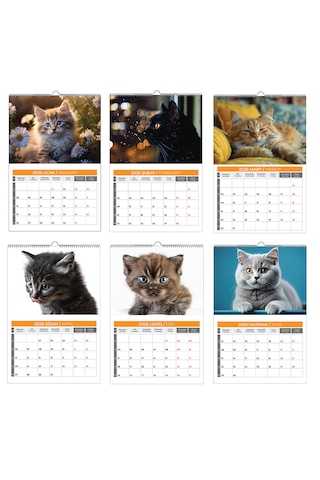 2026 Kedi Planlamalı Duvar Takvimi-33x48
