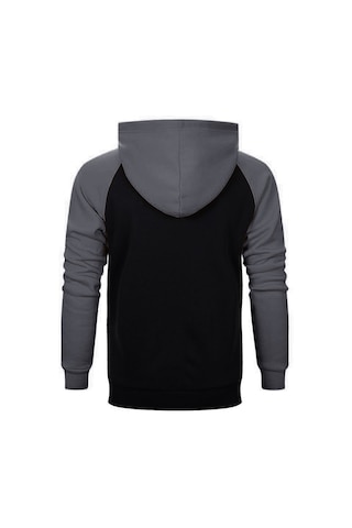 Diablo Iıı Ruhların Reaper'ı Barbar Gri Renk Reglan Kol Kapşonlu Sweatshirt Gri