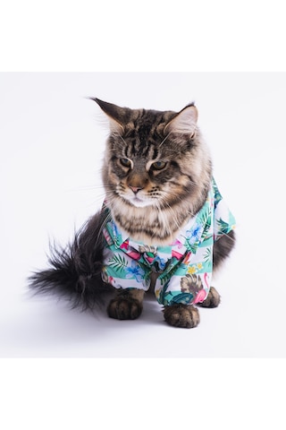 Pawstar Hawai Kedi Köpek Gömleği Kedi Köpek Kıyafeti