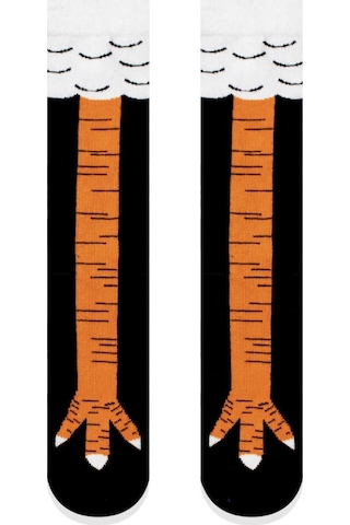 Tavuk Bacağı Kolej Çorap Çok Renkli Tavuk Bacağı Kolej Çorap Çok Renkli