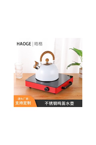 Hangfox 2.5 Litre Çelik Çalıcı Kettle: Kalın Tabaka, Gaz Ve Indüksiyon Uyumlu, Evde Pratik Su Kaynatma Aleti Beyaz