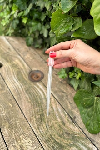 Rufus Concept Pastör Pipet Damlalık 3 Ml 50 Adet Genel