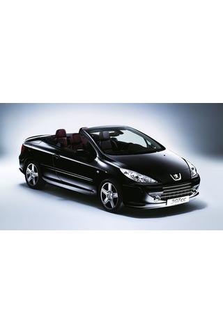 Coil-Ex Peugeot 307 03.2001- Sonrası Spor Yay 45 - 45 Mm