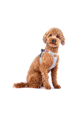 Alpine Curli Clasp Vest Harness Light Gray Xs