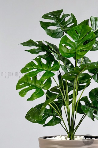 Biçiçek Yapay Monstera Deve Tabani Bi̇tki̇si̇ 130 Cm Mocha Kumsal Saksıda