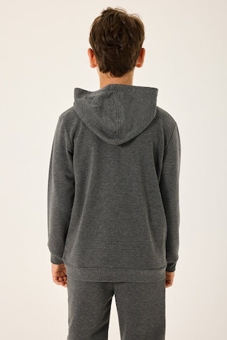 Rolypoly Erkek Çocuk Gri Sweatshirt Gri