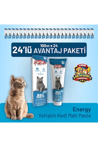 Yetişkin Kedi Malt Paste 100 G - 24 Adet