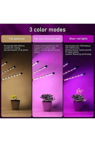 Reedark 4 Kafa Tam Spektrum Led Bitki Büyüme Lambası - Otomatik Zamanlama Ve Işık Seviyesi Ayarlama, 80 Led'li Esnek Açı Regülasyonlu İç Mekan Bitki Lambası Siyah