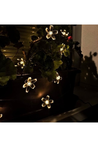 Konyax Solar 5m 50 Led Papatya Gün Işığı 8 Fonksiyonlu Renkli