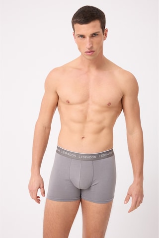 L'espadon Maritime Elite Koleksiyonu Elastik Konforlu Bel Bantlı Çizgili Erkek Trunk Boxer-3242 Gri