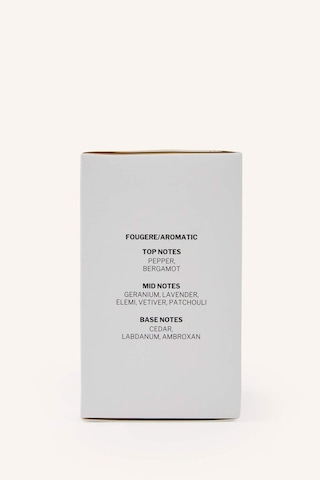 Defacto Erkek 50 Ml Urban Amber Parfüm I0231axnsgr105 Fresh - Marin