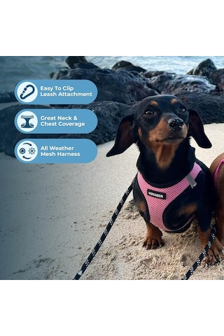 Voyager Step-in Air Köpek Tasması, Her Havada Kullanılabilen File, Yansıtıcı, Küçük, Orta Boy Köpekler, Kedile Genel