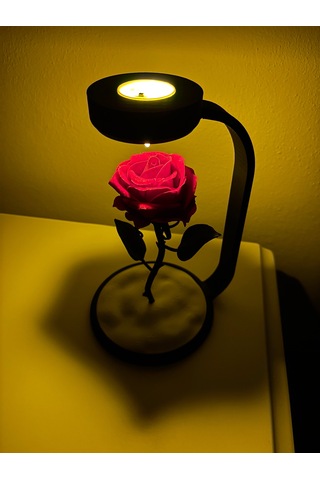 Moonlamp Kırmızı Gül Dekoratif Hediyelik Lamba