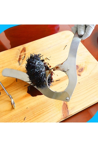 Geeroyoo Stainless Steel Deniz Kestanesi Açma Aracı - Ergonomik Kollü, Keskin Bıçaklı Mutfak Gereci Diğer