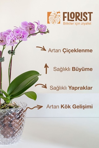 Florıst-orkide İçin Sıvı Bitki Besini Çiçeklenme Destekleyici & Kök Güçlendirici 200