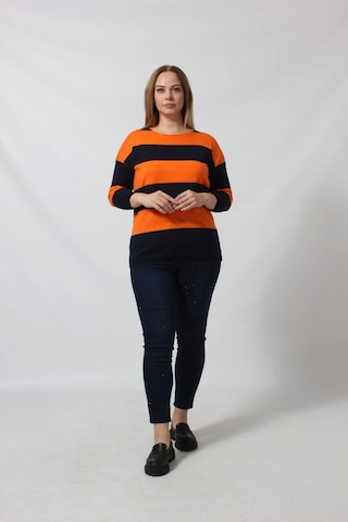 Çizgili Triko Kazak Çok Renkli