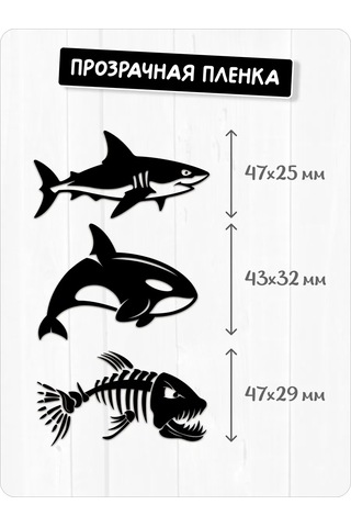 Stadi Devlet Plakası Etiketi Köpekbalığı 226337828