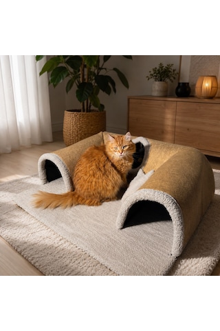 Patikadan Patirotası Kedi Oyun Tüneli