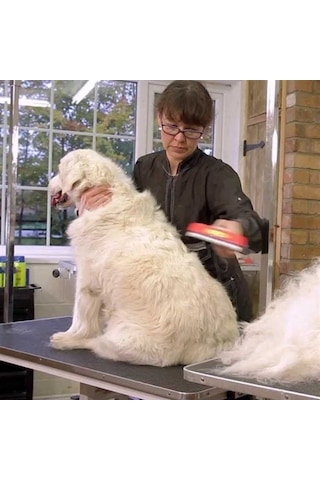 23 KG. Üzeri Uzun Tüylü Köpekler İçin Tüy Toplayıcı Ergonomik Tar