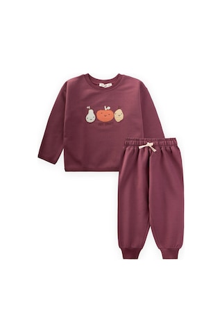 Sweatshırt Takım 1-5 Yaş Mürdüm Mürdüm