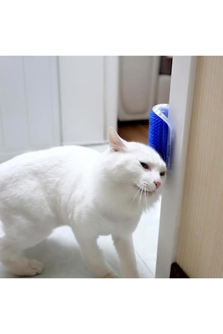 Kedi Tüyü Kaşıma Ve Tarama Aparatı Duvara Monte Kaşıma Aleti