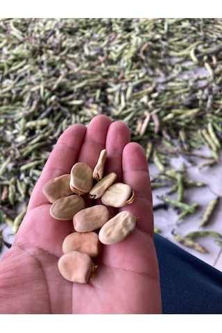 1 Kg Kuru Bakla Yerli Üretim Doğal Ve Katkısız İç Bakla