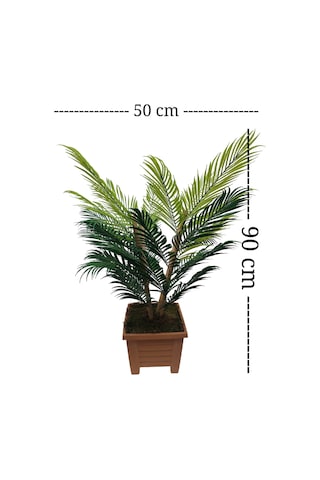 Areka 4 Bambu Gövdeli Palmiye Ağacı Kare Saksıda
