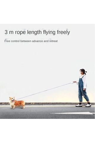 Soulader Otomatik Geri Saran Teleskopik Köpek Tasması, Kedi Ve Küçük Irklar İçin Açık Havada Yürüyüş İpi