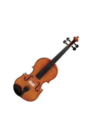 Gewa Gs401411 4/4 Keman Aspirante Dresden Shaped Case