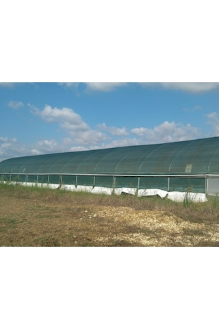 Morilu Sera Filesi - 55'Lik - Yeşil - Şeritli Halkalı - Sera Gölgelik - Sera Tülü - Sera Üstü Gölgelik