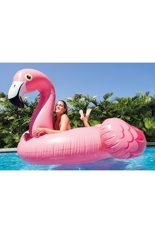 Flamankuşu Figürlü Tırabzanlı Şişme Deniz Yatağı Çok Renkli